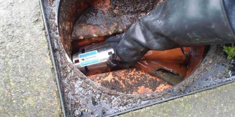 What Exactly You Will Need To Make Rats Go Away!