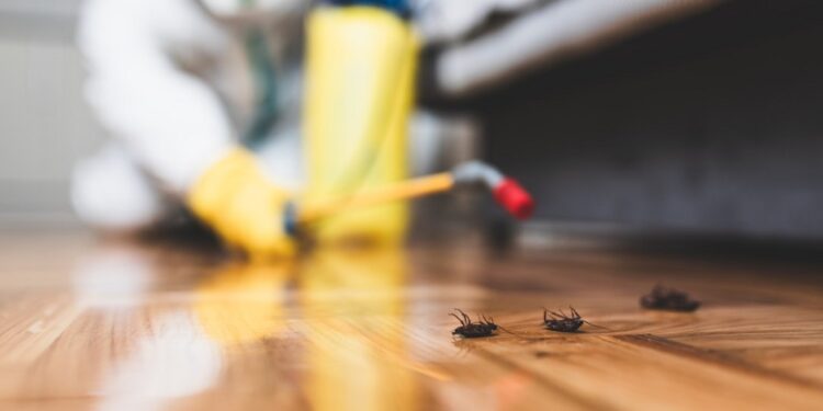 When Should You Call A Pest Control Company?