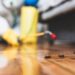 When Should You Call A Pest Control Company?