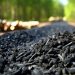 What is Biochar? Transforming Soil and Fighting Climate Change