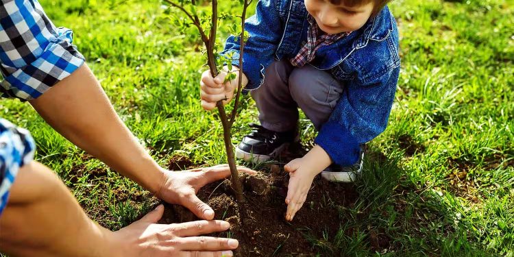 Genetic Advances in Disease-Resistant Trees