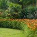Ten Low-Maintenance Daylilies Trusted by Landscape Designers