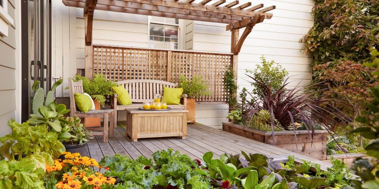 Small Garden Design Tips That Work