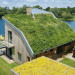 Sustainable Renovation Materials for Eco Homes