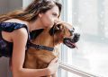 Your Landlord Just Said No to Your Pet — But Is That Actually Allowed in 2026? 