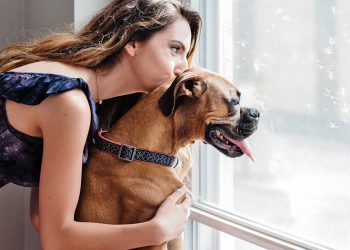 Your Landlord Just Said No to Your Pet — But Is That Actually Allowed in 2026? 