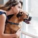 Your Landlord Just Said No to Your Pet — But Is That Actually Allowed in 2026? 